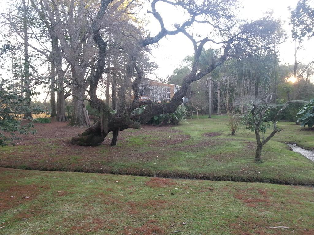 Casa Del Bosque Villa Tigre Buitenkant foto