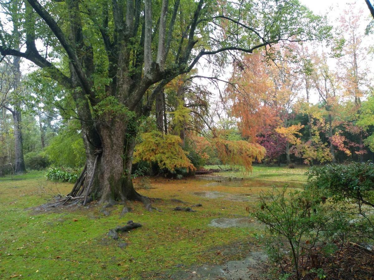 Casa Del Bosque Villa Tigre Buitenkant foto